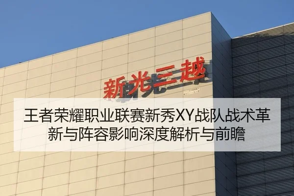 王者荣耀职业联赛新秀XY战队战术革新与阵容影响深度解析与前瞻