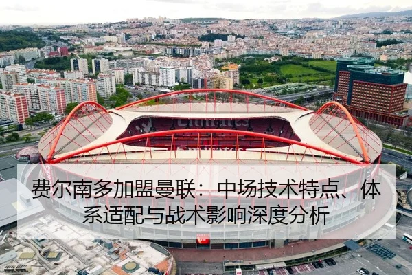 费尔南多加盟曼联：中场技术特点、体系适配与战术影响深度分析